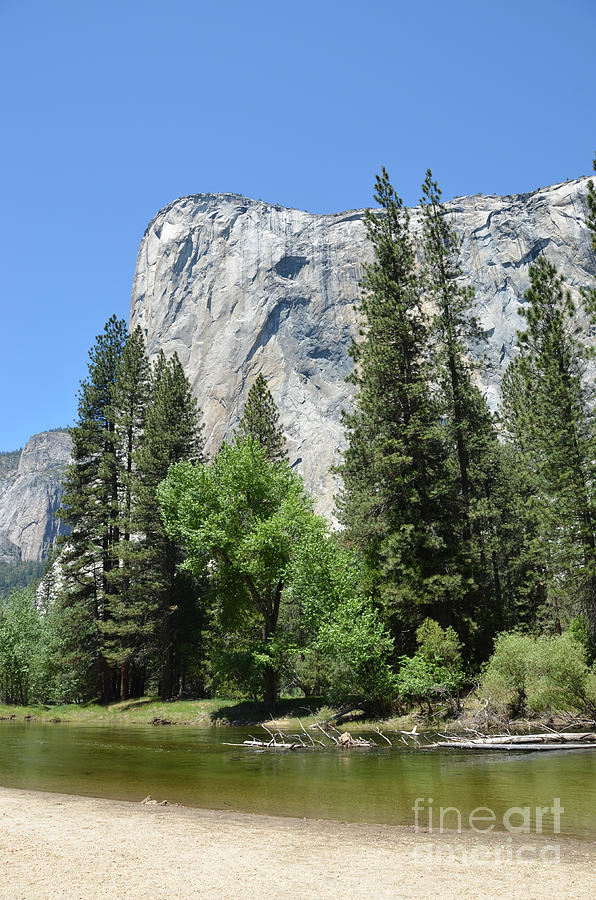 Yosemite Cathedral Rock Photograph by Debra Thompson