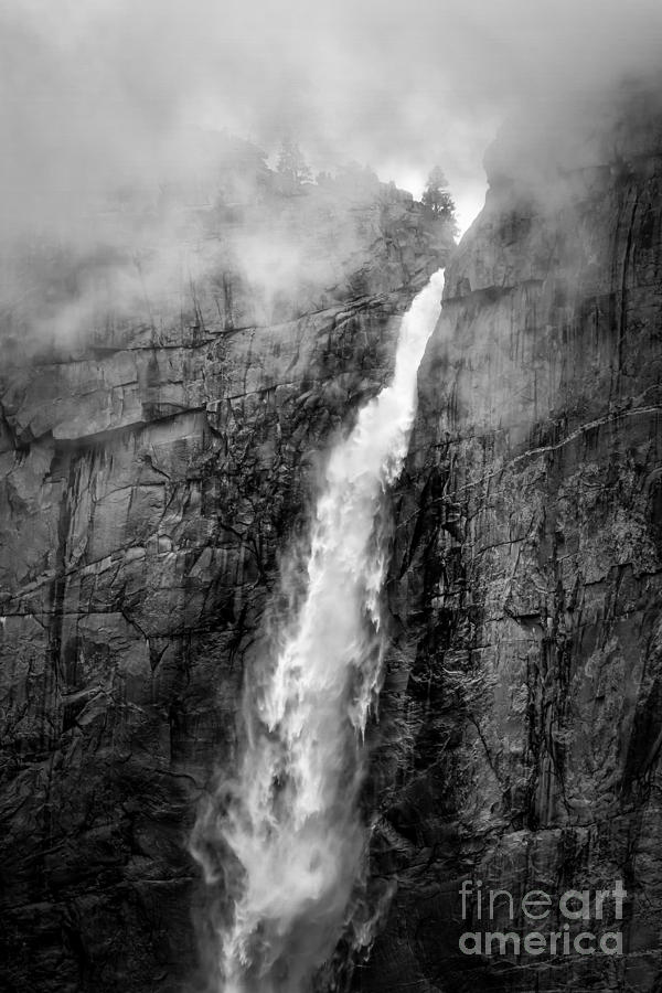 Yosemite Fall Photograph by Anthony Michael Bonafede