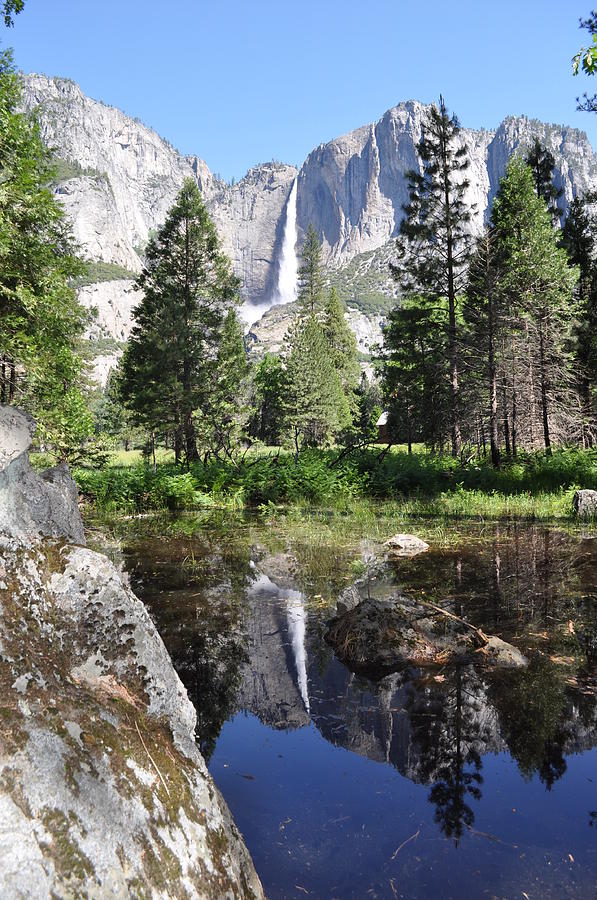 Yosemite Falls and Reflection Photograph by Mike Helland