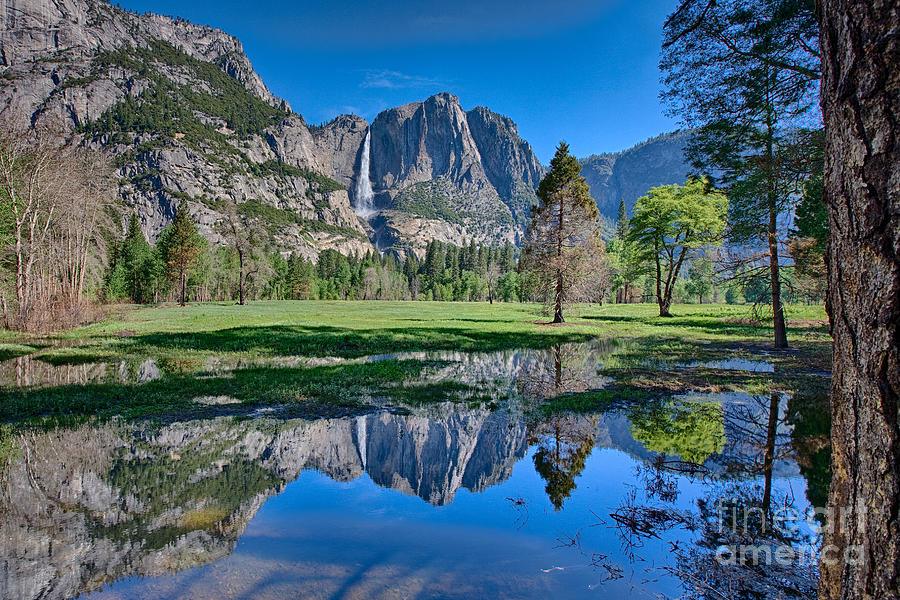 Yosemite Falls And Reflections Photograph by Mimi Ditchie