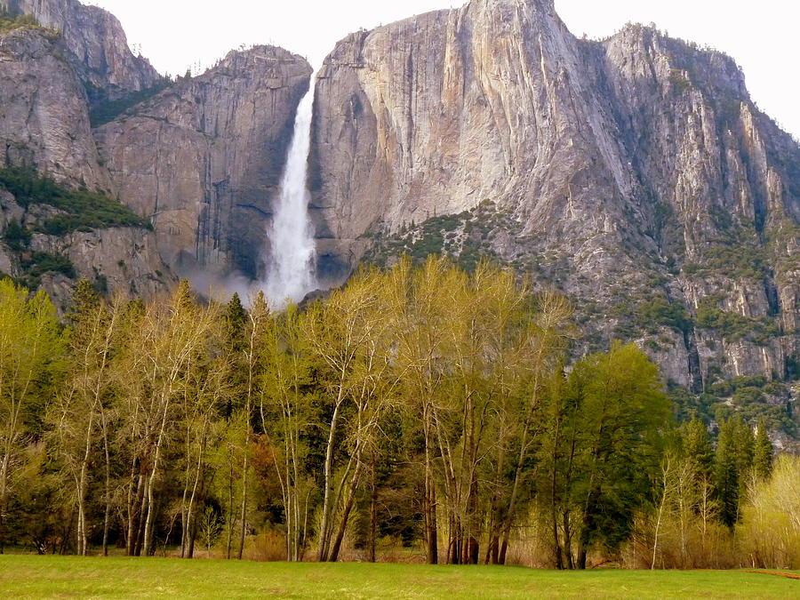 Yosemite Falls and Trees Photograph by Jeff Lowe