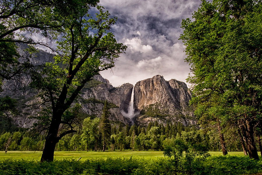Yosemite Falls Photograph by Cat Connor