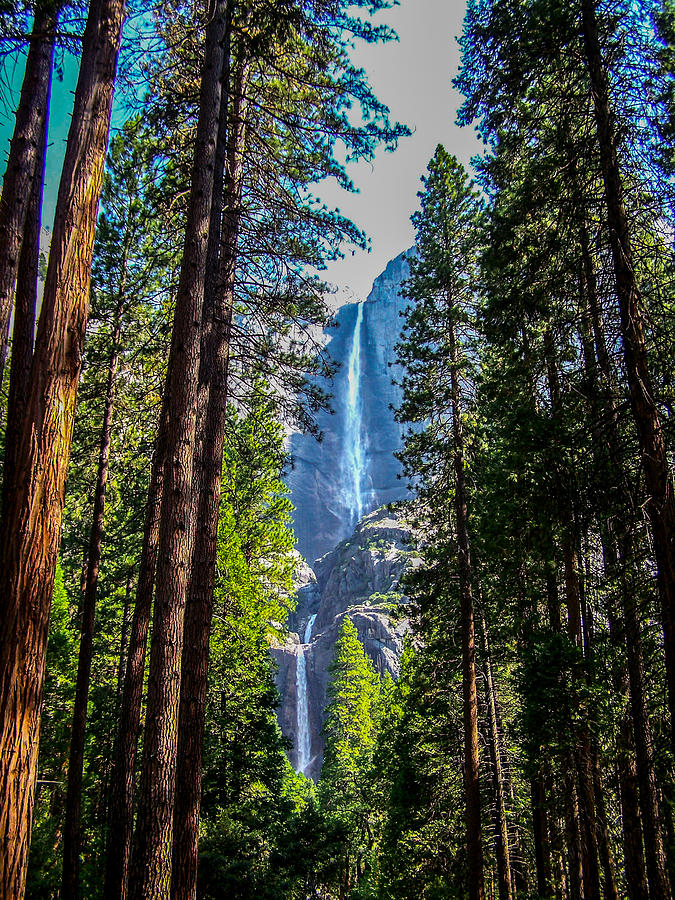 Yosemite Falls Photograph by Dany Lison