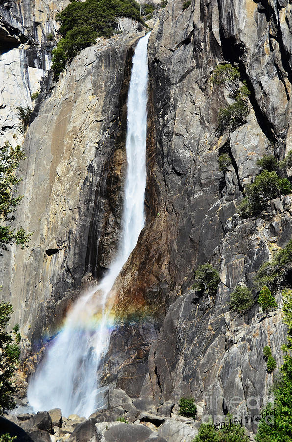 Yosemite Falls Photograph by Debby Pueschel