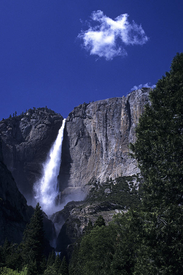 Yosemite Falls Photograph by Doug Davidson