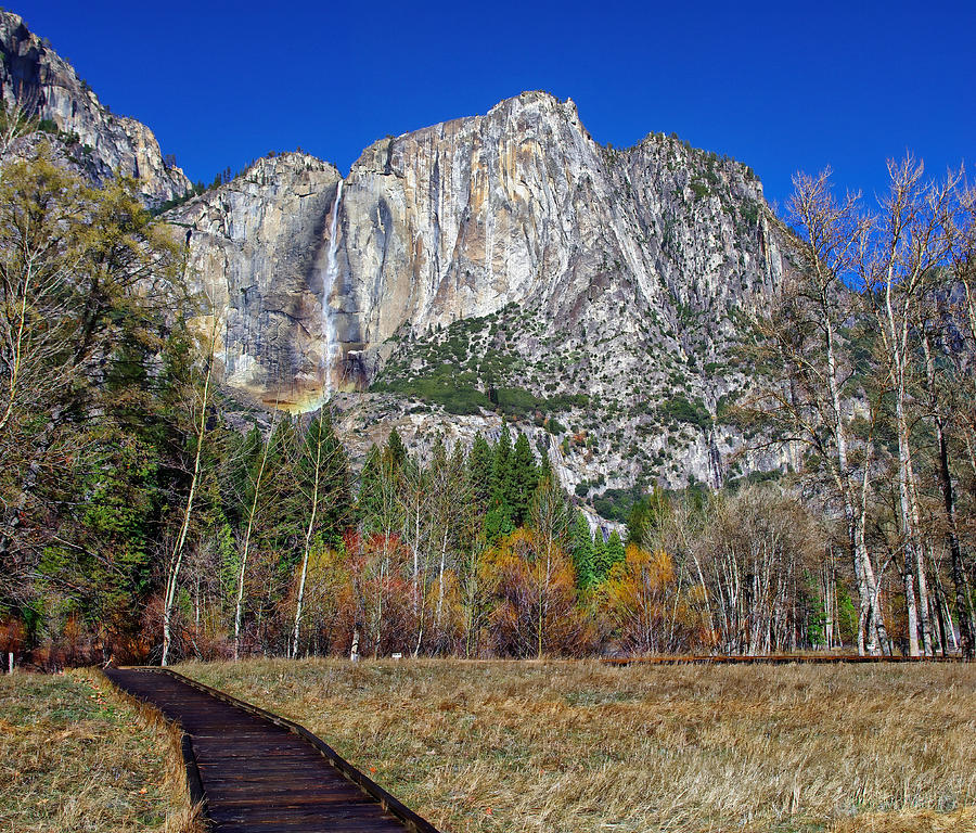 Yosemite National Park Photograph - Yosemite Falls from Cooks Meadow by Scott McGuire