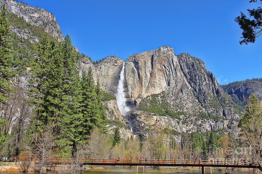 Yosemite Falls Photograph by Jack Schultz