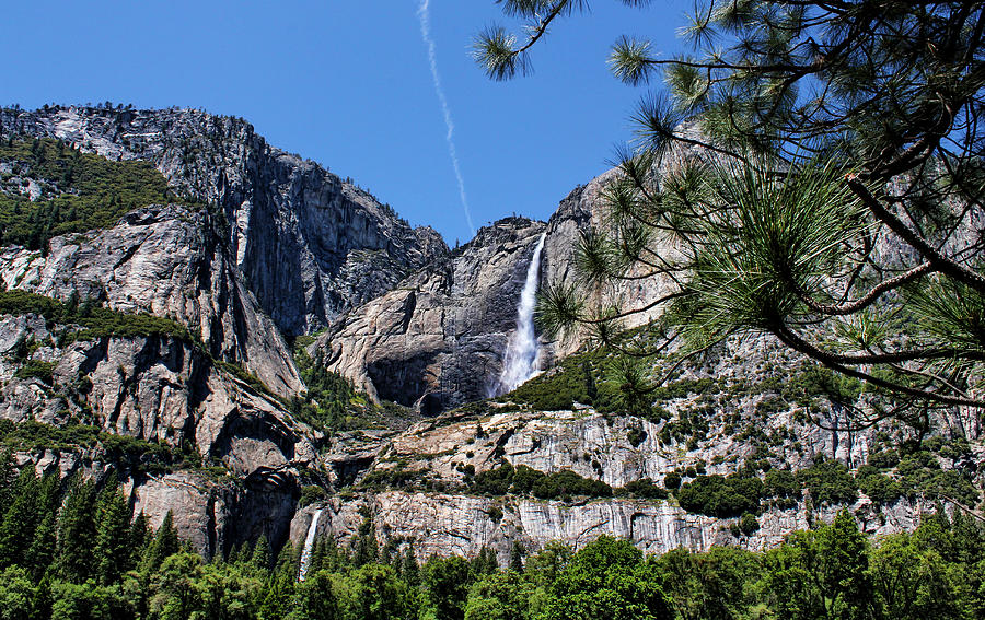 Waterfall Photograph - Yosemite Falls by Judy Vincent