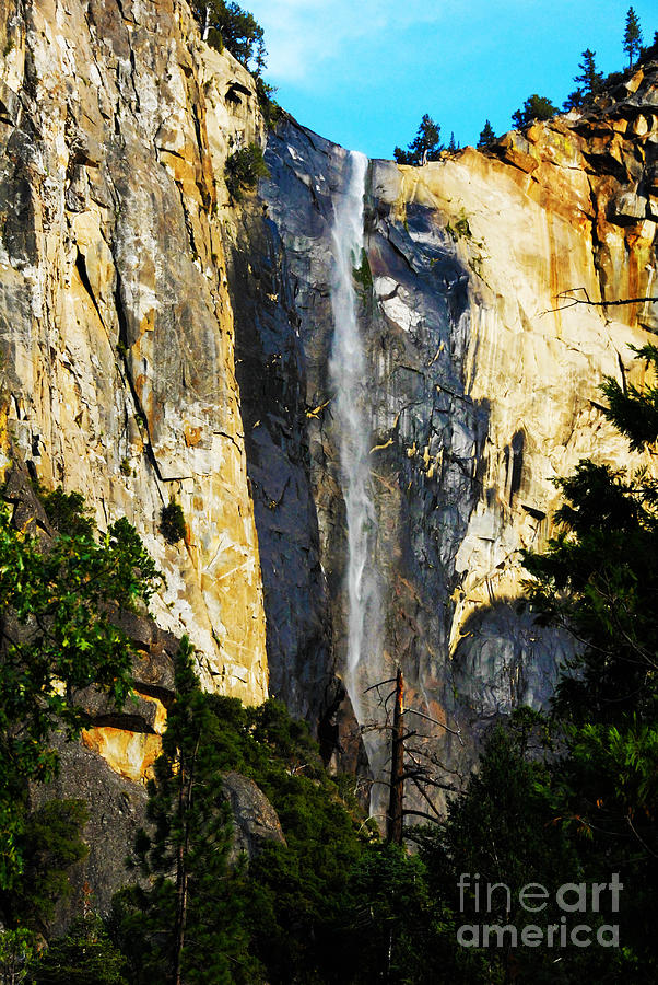 Yosemite National Park Photograph - Yosemite Falls by Laraine  C Photography