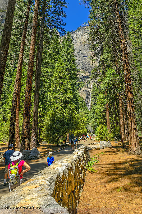 Yosemite Falls Photograph by LeeAnn McLaneGoetz McLaneGoetzStudioLLCcom