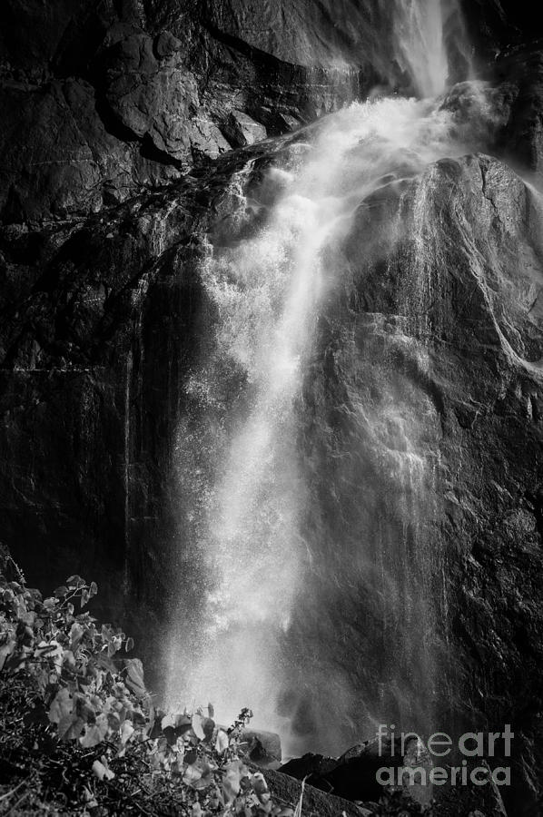 Yosemite Falls Photograph by Misty Tienken