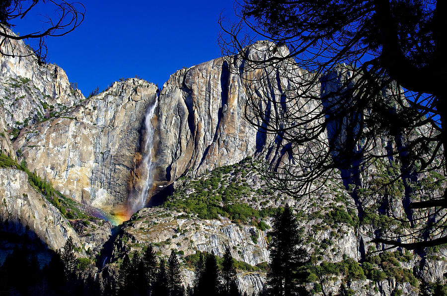 Yosemite Falls Rainbow Photograph by Scott McGuire