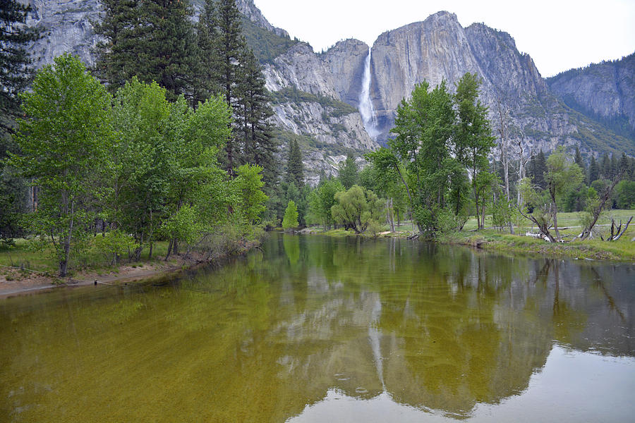 Yosemite Falls Reflected in the Merced River Photograph by Bruce Gourley
