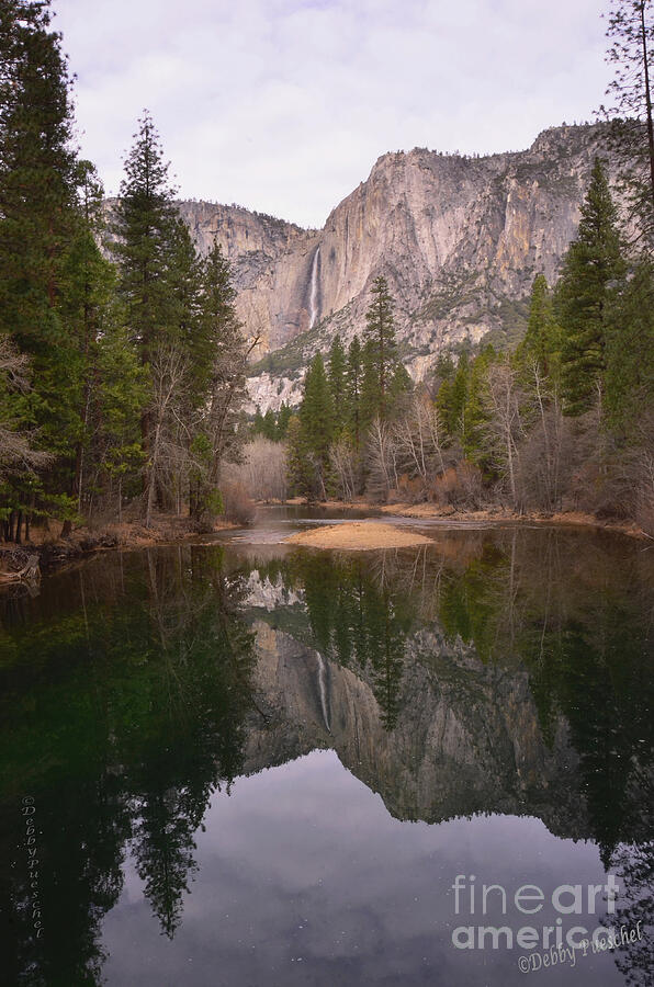 Yosemite Falls Reflection Photograph by Debby Pueschel