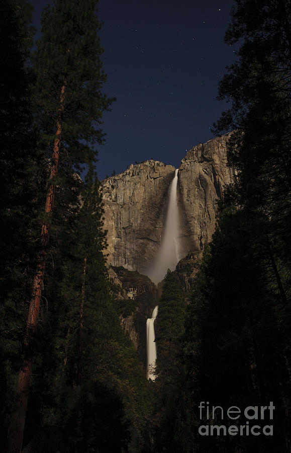Yosemite Falls under the Moonlight Photograph by Deby Dixon