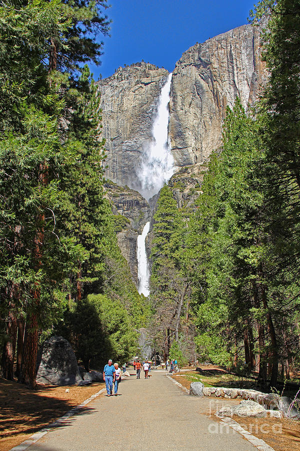 Yosemite Falls Walkway Photograph by Jack Schultz