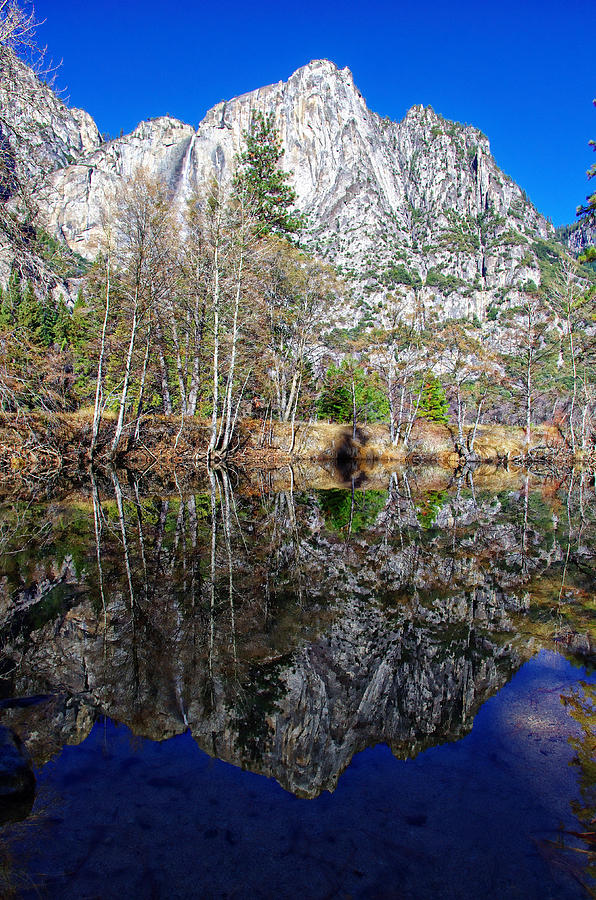Yosemite Falls Winter Reflection Photograph by Scott McGuire