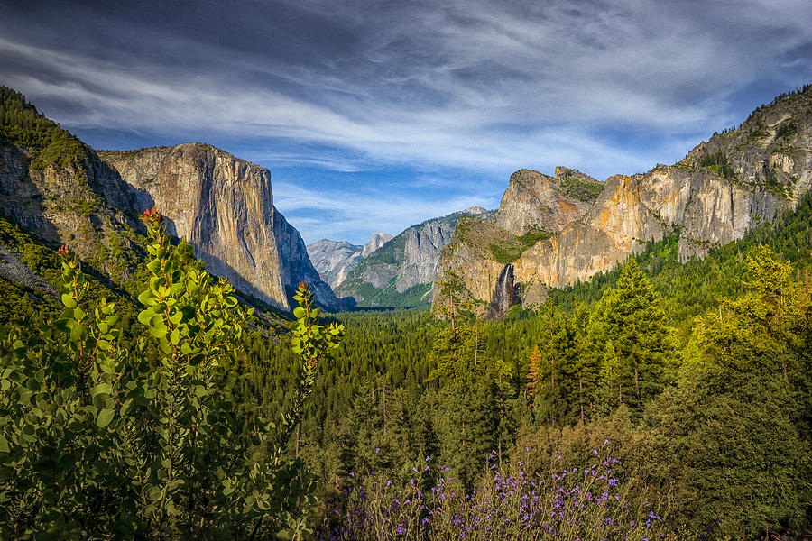 Yosemite From Tunnelview Photograph