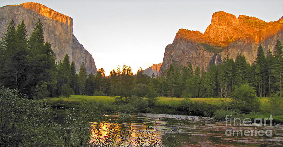 Yosemite gold Photograph by Barry Bohn