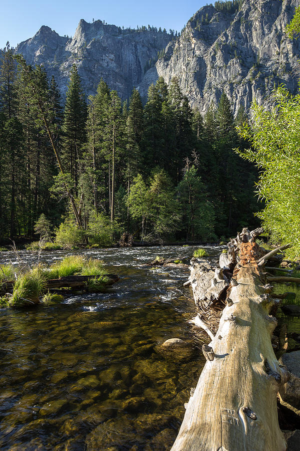 Yosemite Photograph