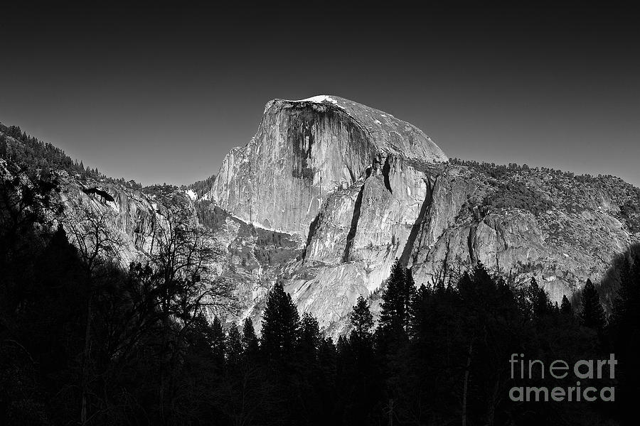 Yosemite Half Dome in Black and White Photograph by Mel Ashar