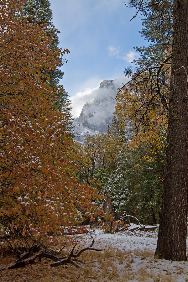 Yosemite in Fall Photograph by Natural Focal Point Photography