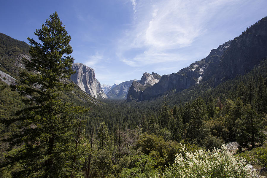 Yosemite in May Photograph by Cathy Franklin | Fine Art America