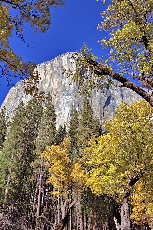 Yosemite in November Photograph by Gordon Elwell