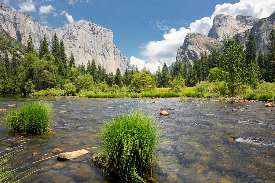 Yosemite Photograph by Jerome Obille - Fine Art America