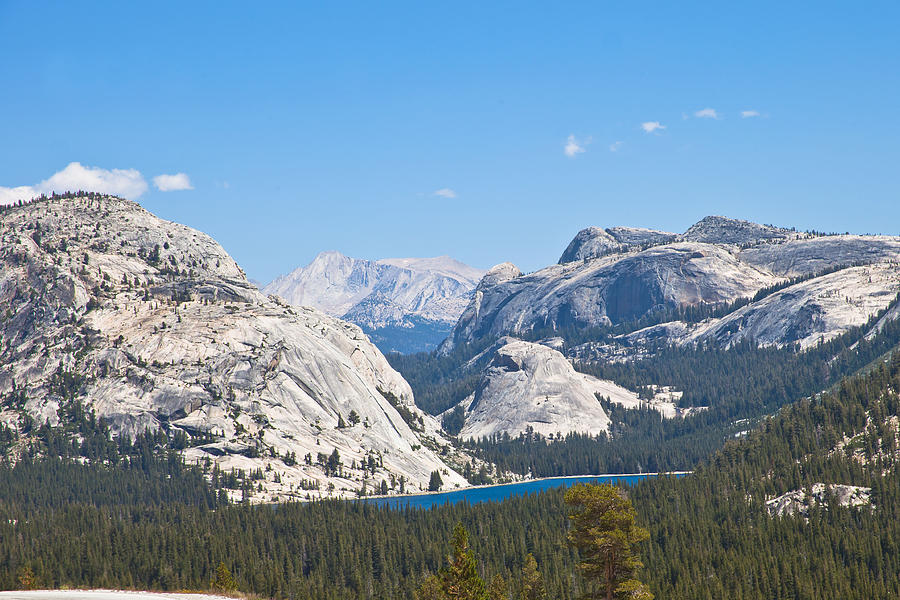 Yosemite Lake Tenaya Overview Photograph by Natural Focal Point Photography