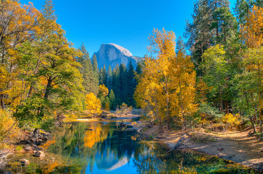 Yosemite Lively Trees Fall 14 Photograph by Creyme - Fine Art America