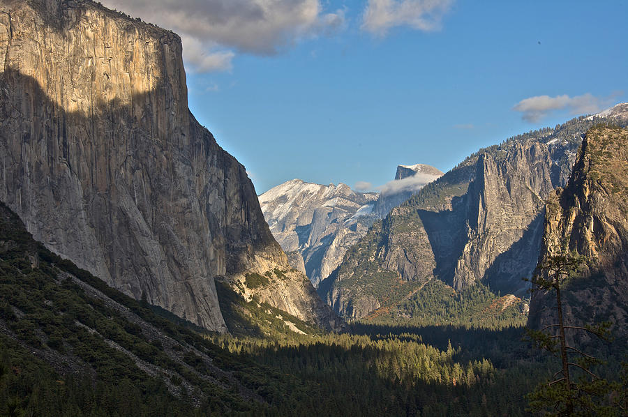 Yosemite Magnificence Photograph by Steven Lapkin