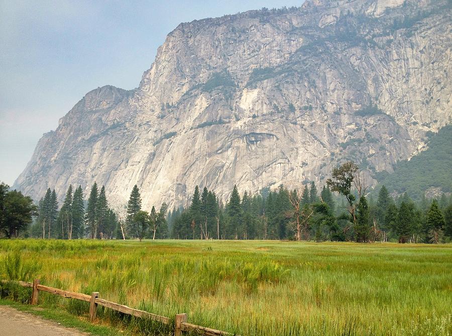 Yosemite Meadow Photograph by Christine Owens Yosemite Meadow Photograph by Christine Owens