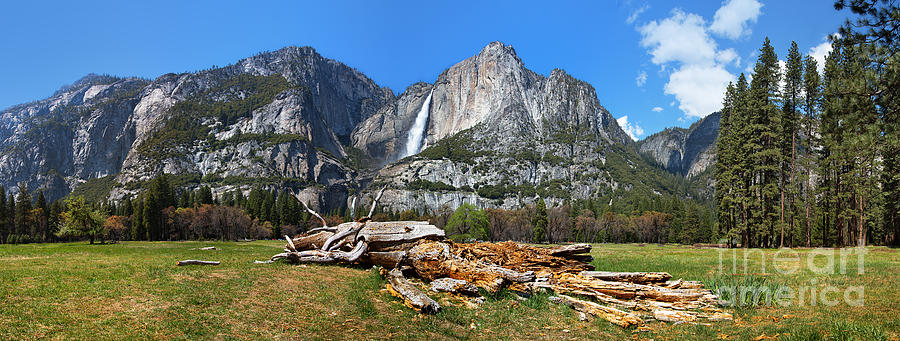 Yosemite National Park Photograph - Yosemite Meadow panorama by Jane Rix