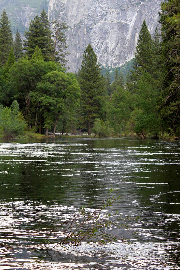 Yosemite Merced River Photograph by Henrik Lehnerer