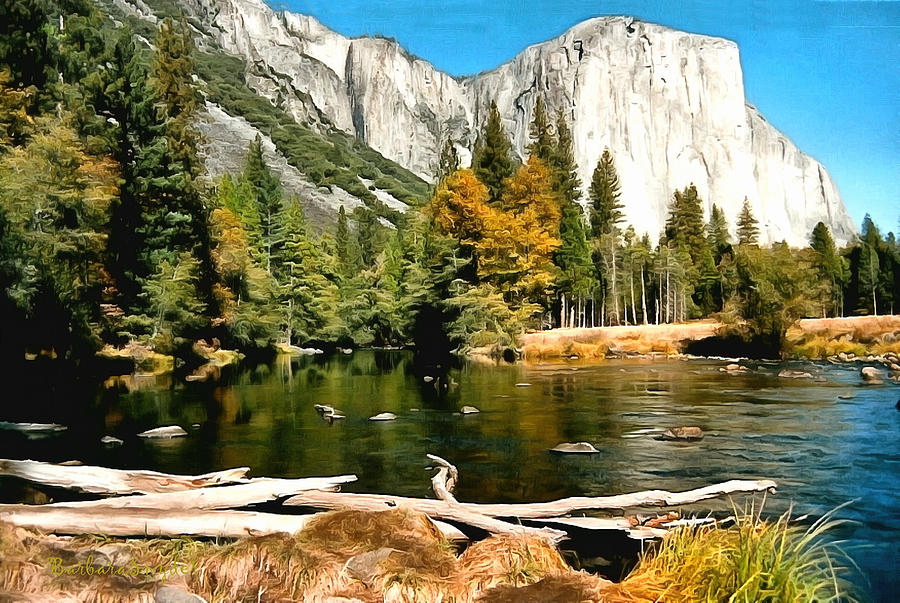 Half Dome Yosemite National Park Painting by Barbara Snyder