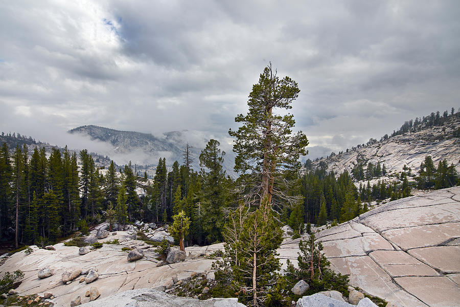 Yosemite National Park Photograph by Carol M Highsmith