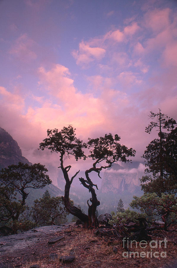 Yosemite National Park Photograph by George Ranalli