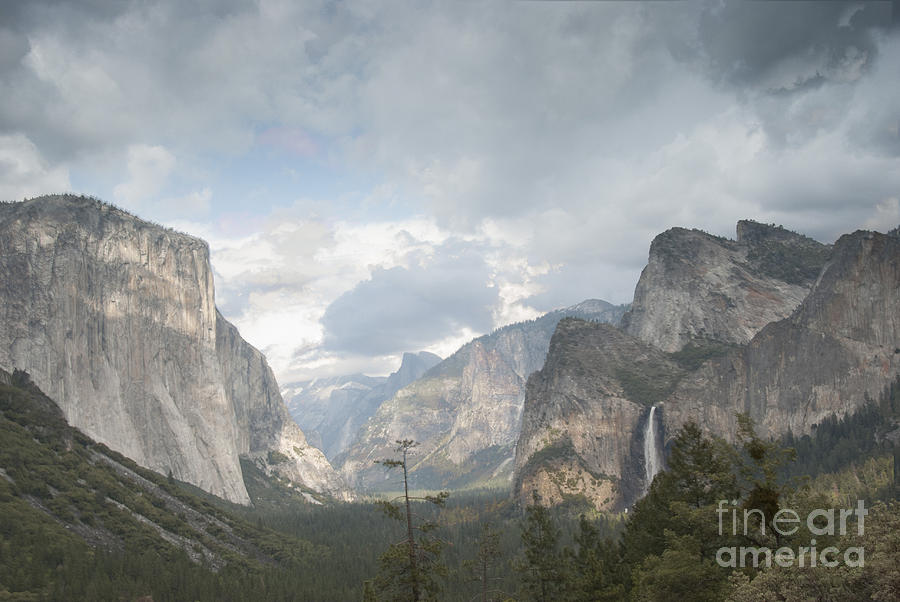 Yosemite National Park Photograph by Juli Scalzi
