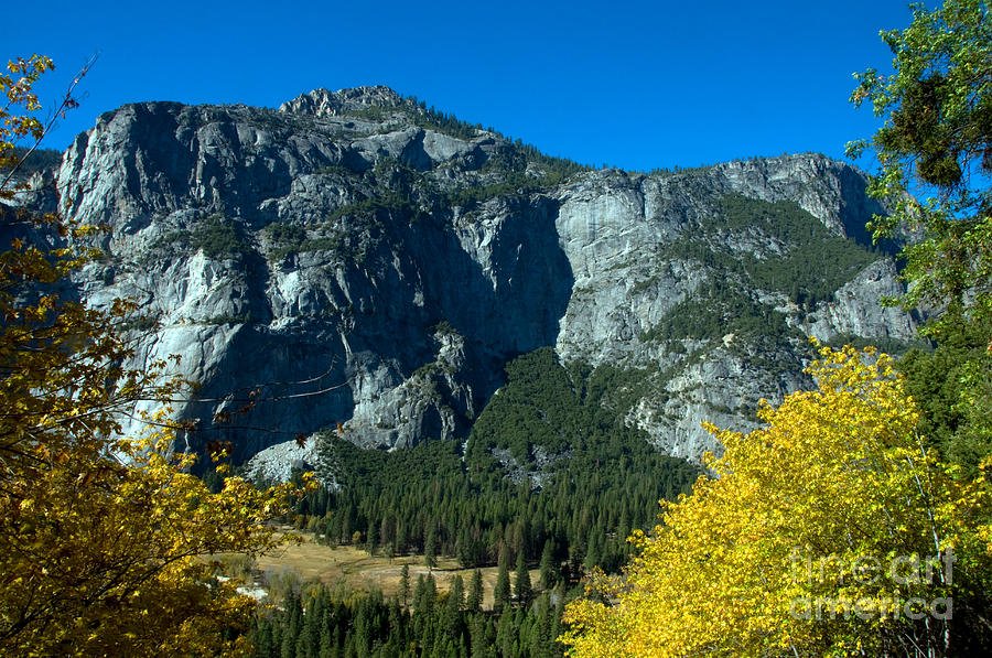 Yosemite National Park Photograph by Mark Newman