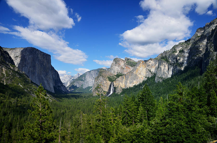 Yosemite National Park Photograph by RicardMN Photography