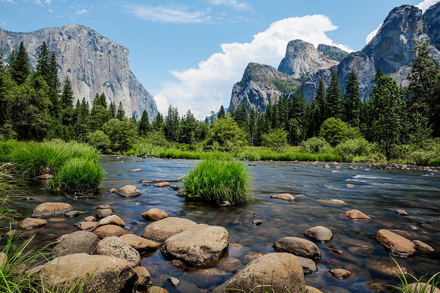 Yosemite National Park River View Photograph by Jerome Obille - Fine ...