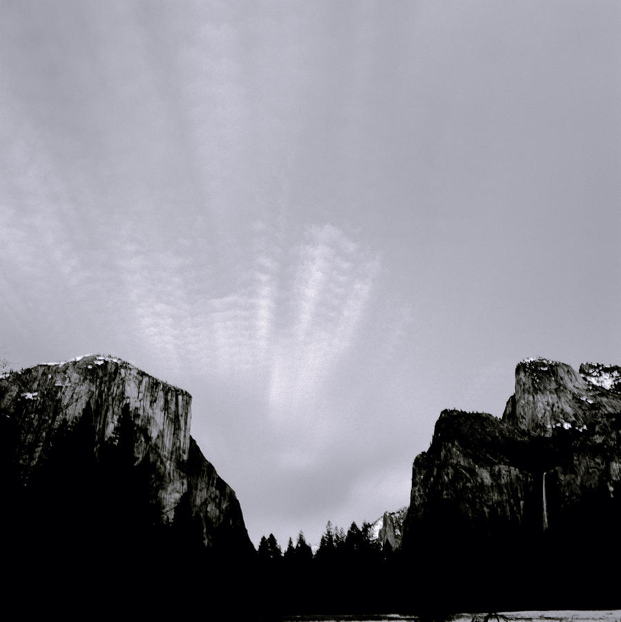 Yosemite National Park Photograph by Shaun Higson