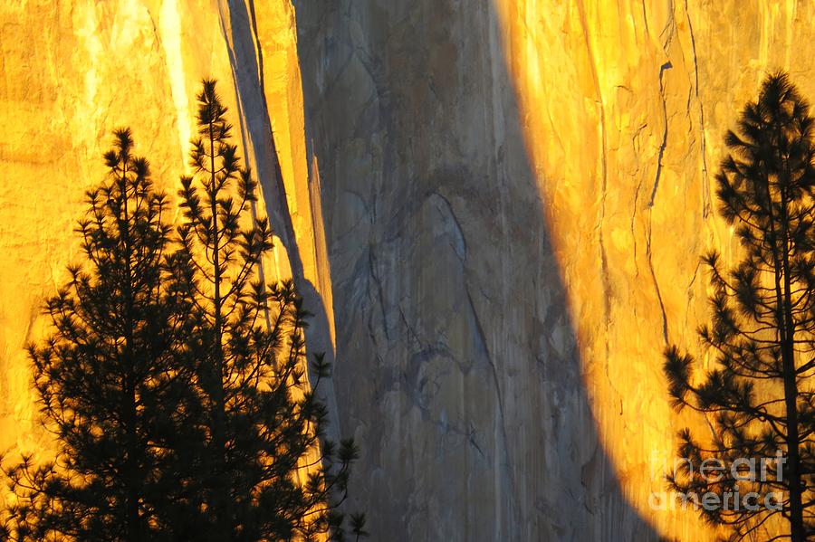Yosemite NP Photograph by Scott Cameron