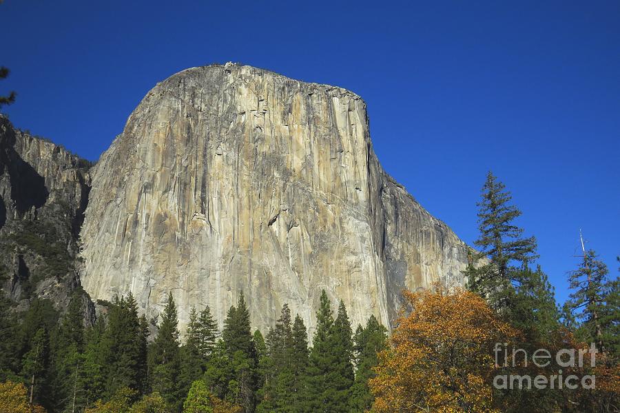 Yosemite NP Series 5 Photograph by Scott Cameron