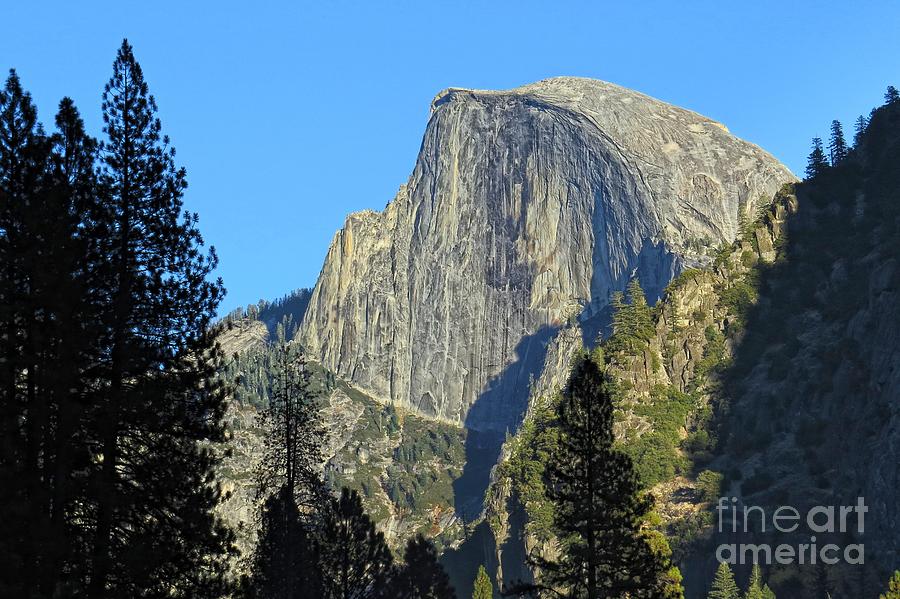 Yosemite NP Series 7 Photograph by Scott Cameron