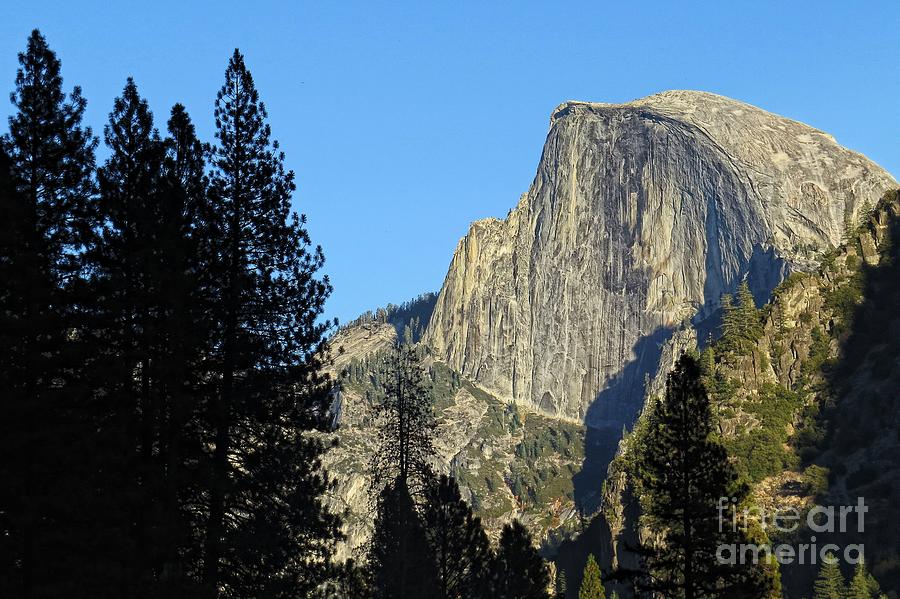 Yosemite NP Series 9 Photograph by Scott Cameron