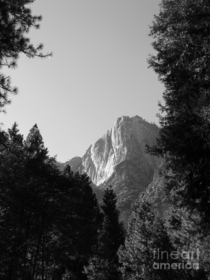 Yosemite Park black and white Photograph by Mini Arora