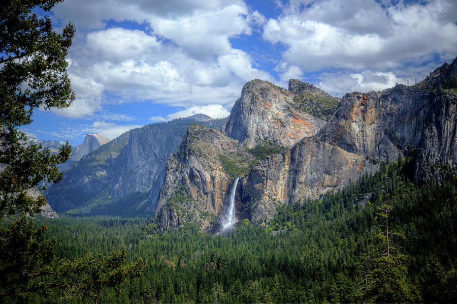 Yosemite Park Photograph by John Cutler
