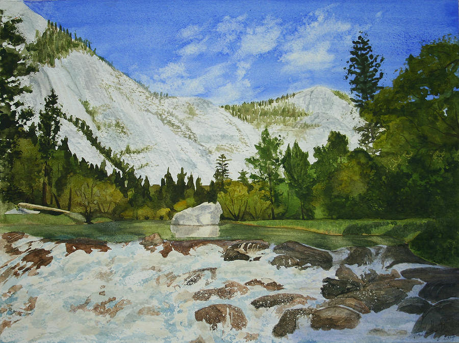 Yosemite Park Painting by Monika Degan